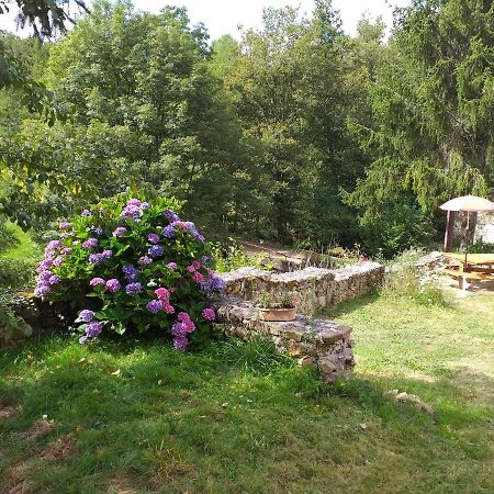 Gite Moulin De Ludieras Busserolles Zewnętrze zdjęcie