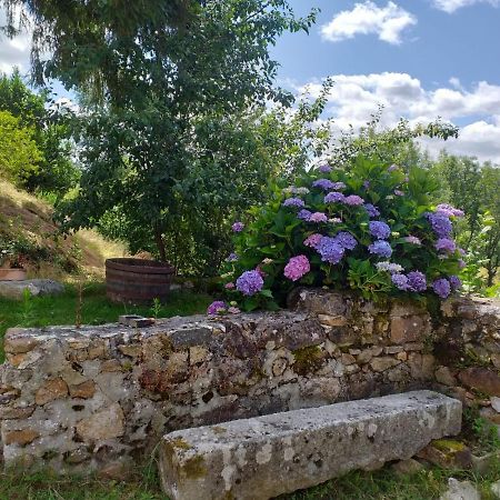Gite Moulin De Ludieras Busserolles Zewnętrze zdjęcie